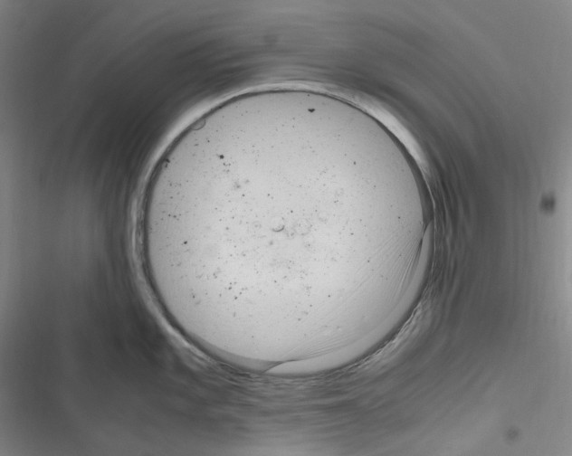 X0000116681101201001251255