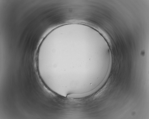 X0000116681102201001251255