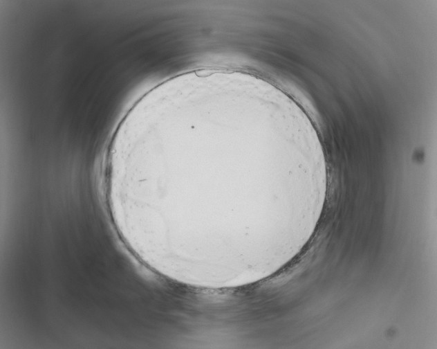 X0000116681103201001251255