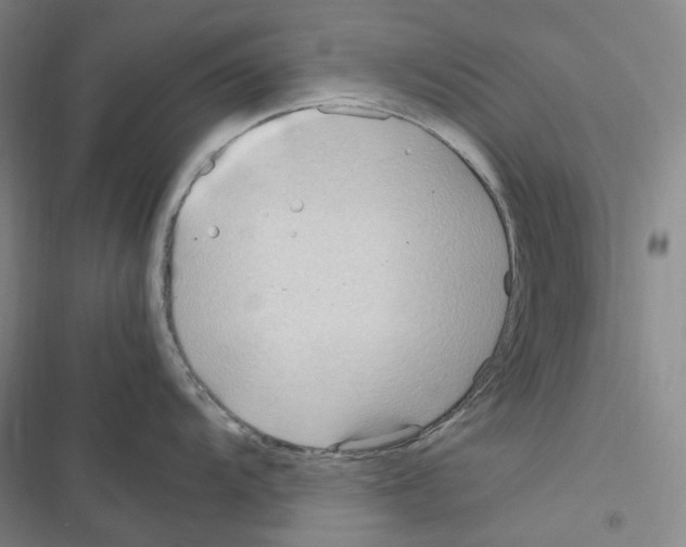 X0000116681104201001251255