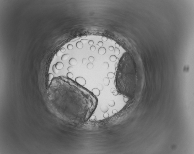 X0000116681105201001251254