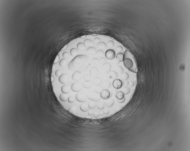 X0000116681106201001251254