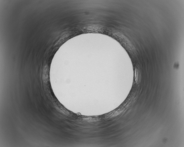 X0000116681107201001251254