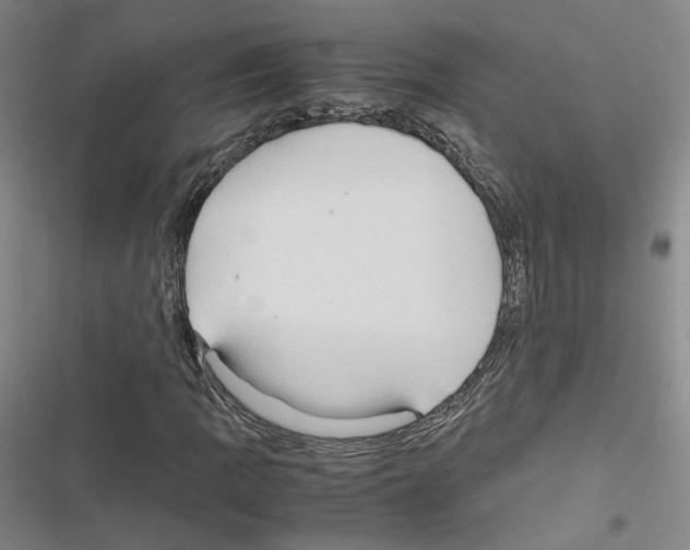 X0000116681109201001251254