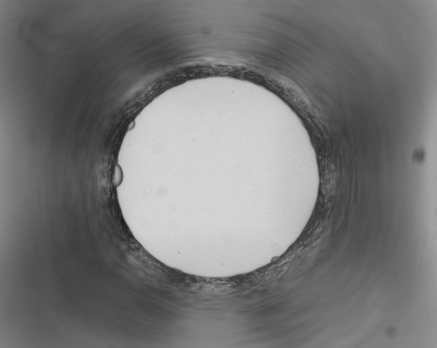 X0000116681110201001251254