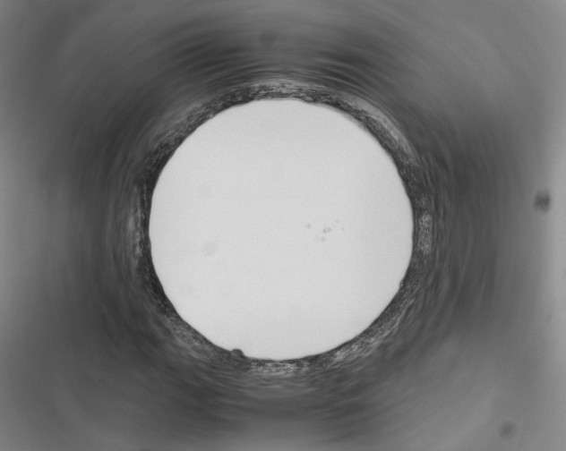 X0000116681111201001251254