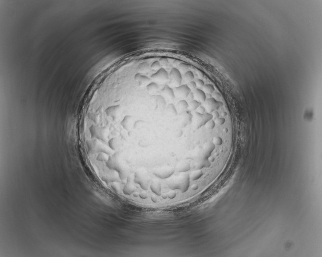 X0000116681113201001251254