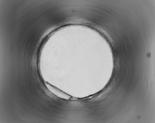 X0000116681114201001251254