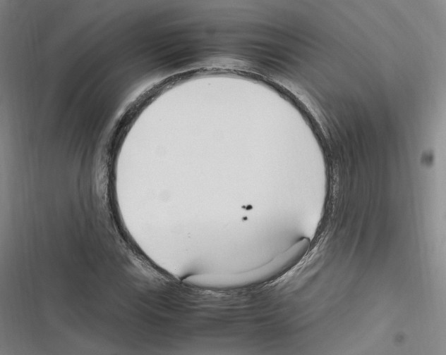 X0000116681115201001251254