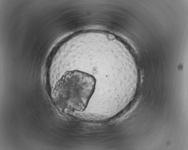 X0000116681117201001251254