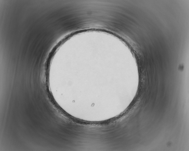 X0000116681118201001251254