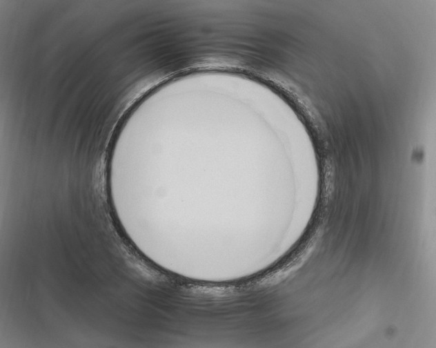 X0000116681121201001251254