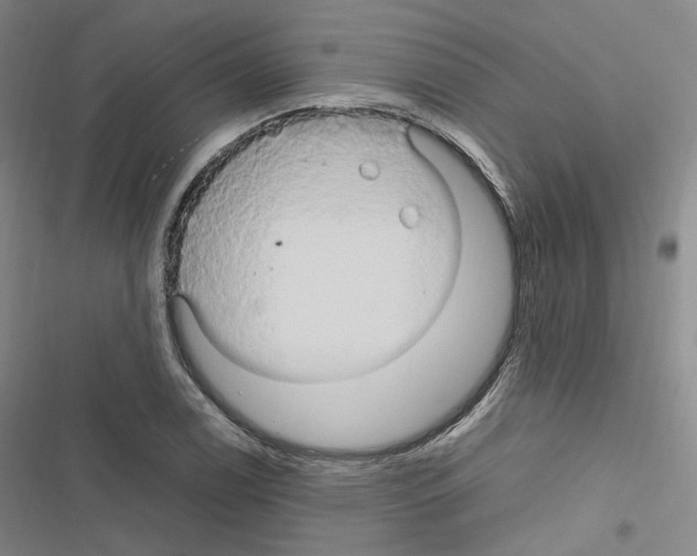 X0000116681122201001251254