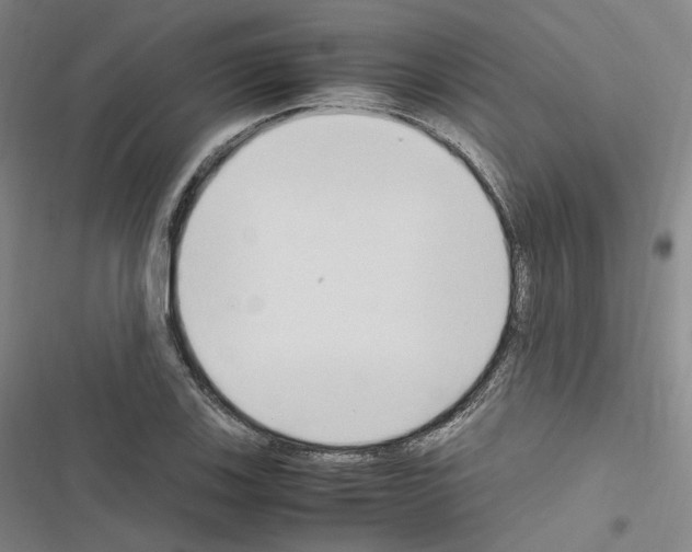 X0000116681123201001251254