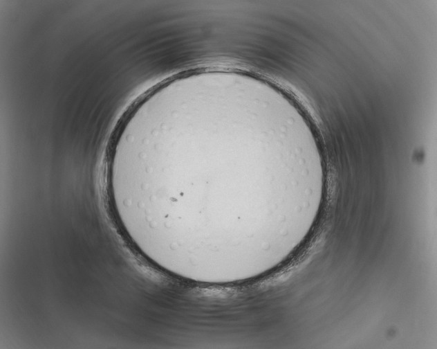 X0000116681125201001251254