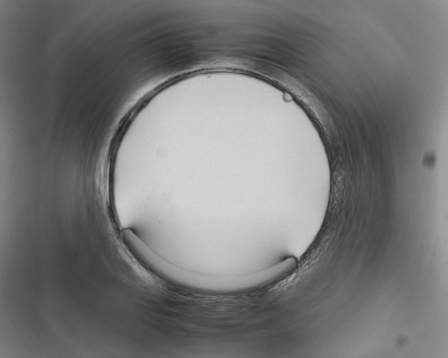 X0000116681127201001251254