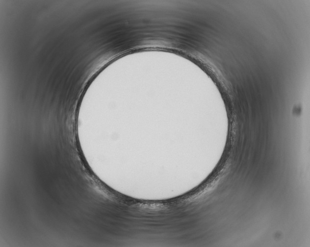 X0000116681129201001251254