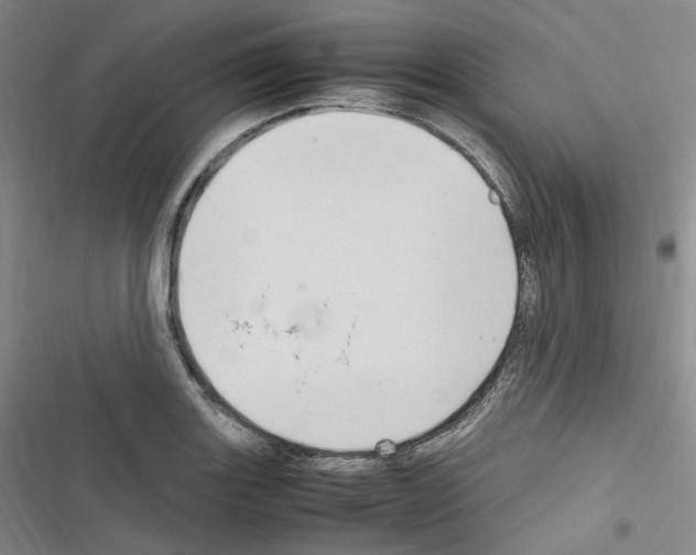 X0000116681131201001251254