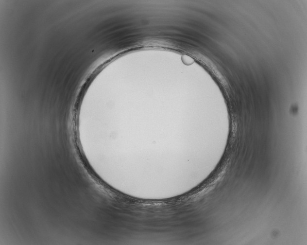 X0000116681133201001251254