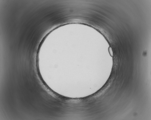 X0000116681134201001251254