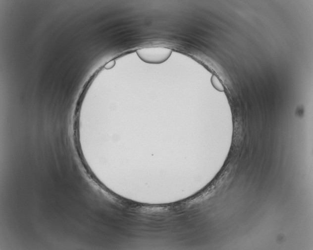 X0000116681135201001251254