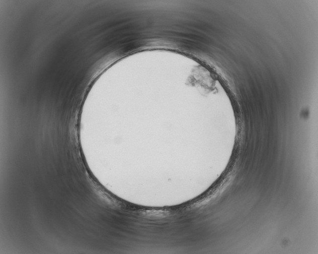 X0000116681137201001251254