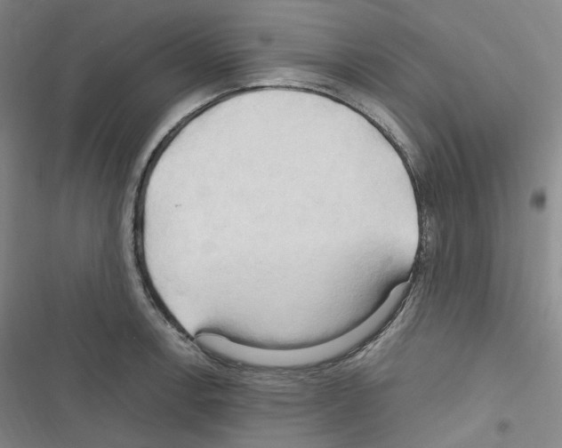 X0000116681138201001251254