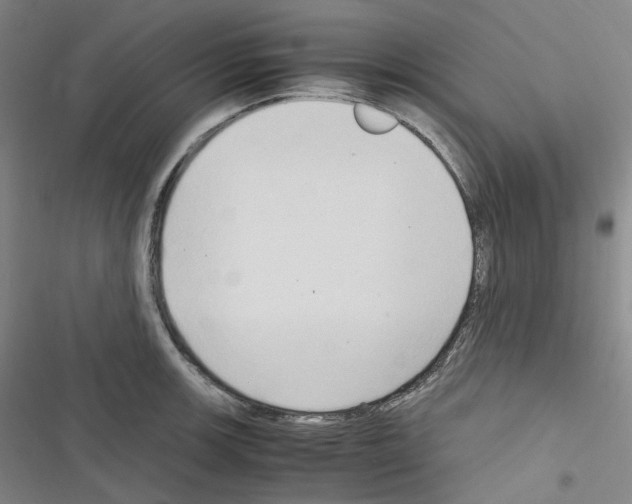 X0000116681139201001251254