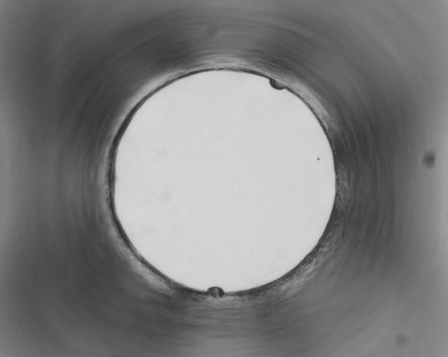 X0000116681142201001251254