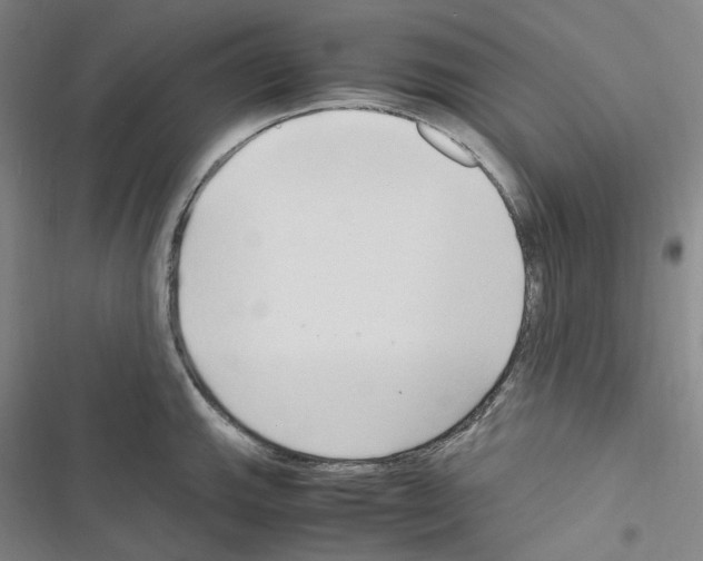 X0000116681143201001251254