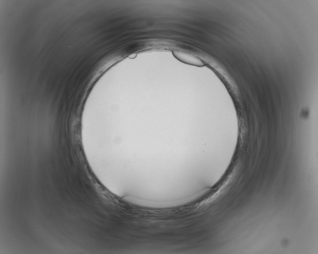 X0000116681145201001251255