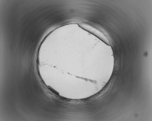 X0000116681146201001251255