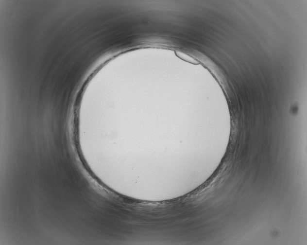 X0000116681147201001251255