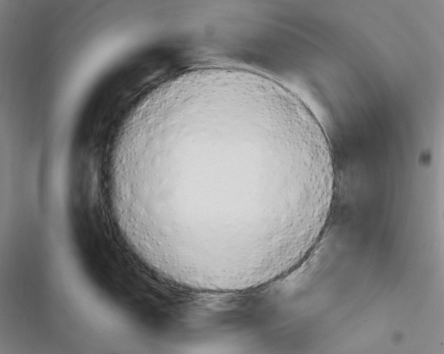 X0000116681150201001251255