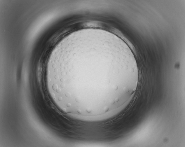 X0000116681151201001251255