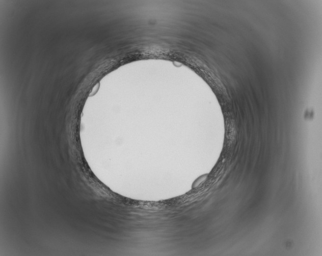 X0000116681153201001251254