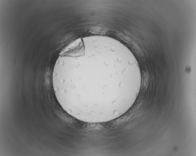 X0000116681154201001251254