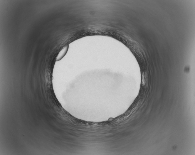 X0000116681155201001251254