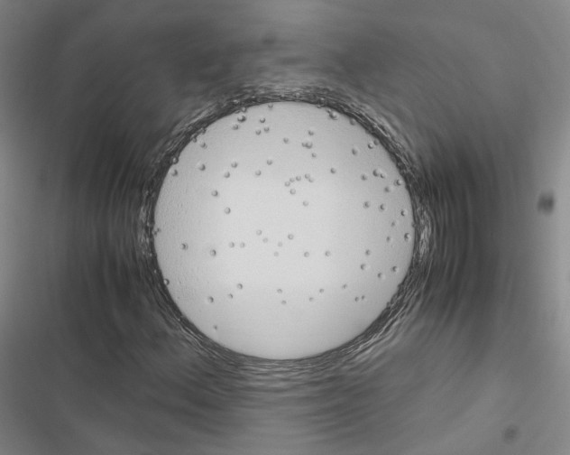 X0000116681156201001251254