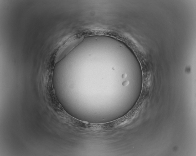 X0000116681157201001251254