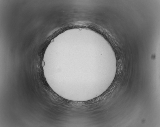 X0000116681158201001251254