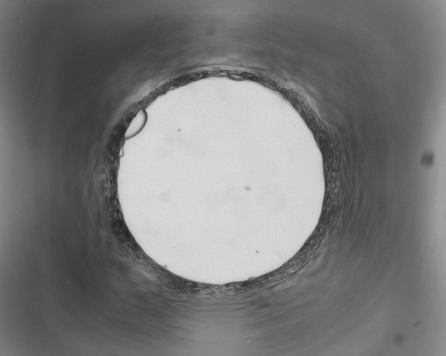 X0000116681159201001251254