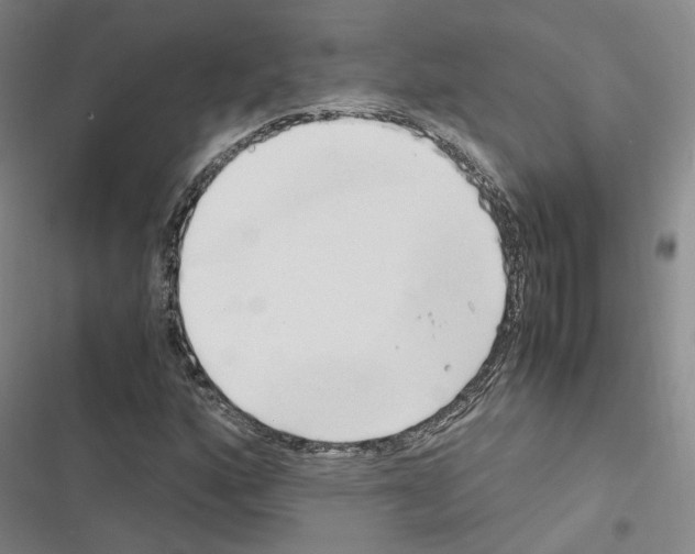 X0000116681160201001251254