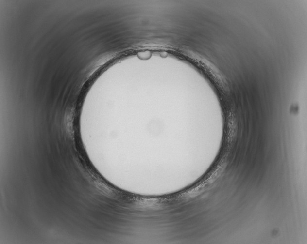 X0000116681162201001251254