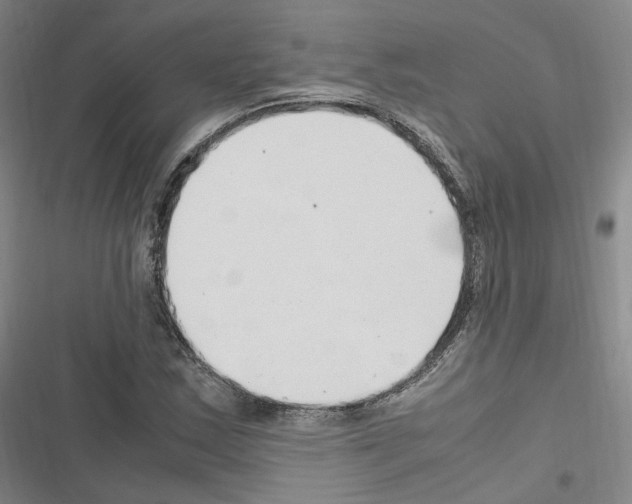 X0000116681163201001251254