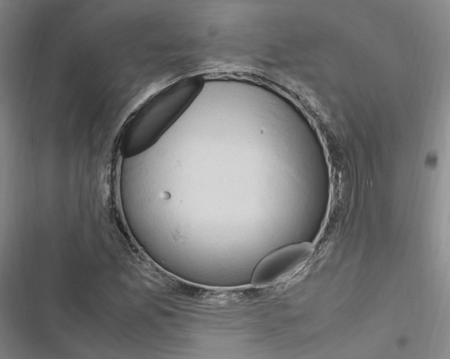 X0000116681165201001251254