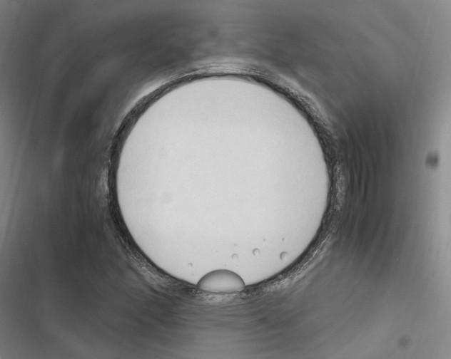 X0000116681166201001251254