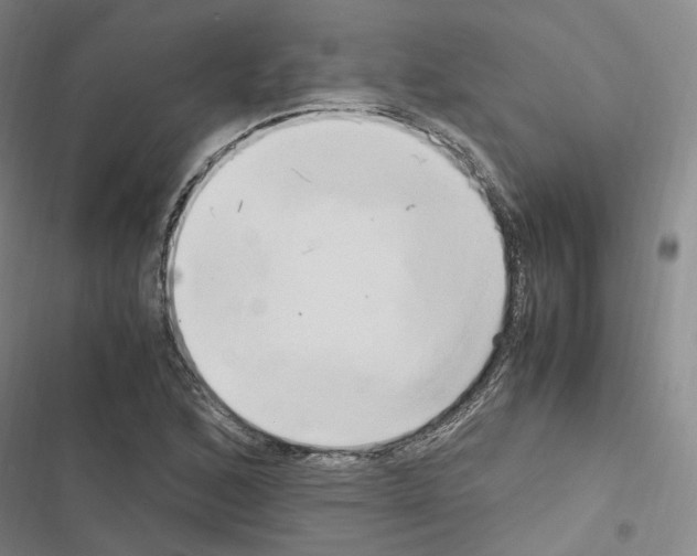 X0000116681168201001251254