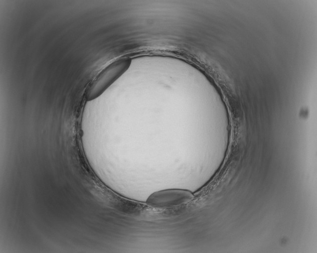 X0000116681169201001251254