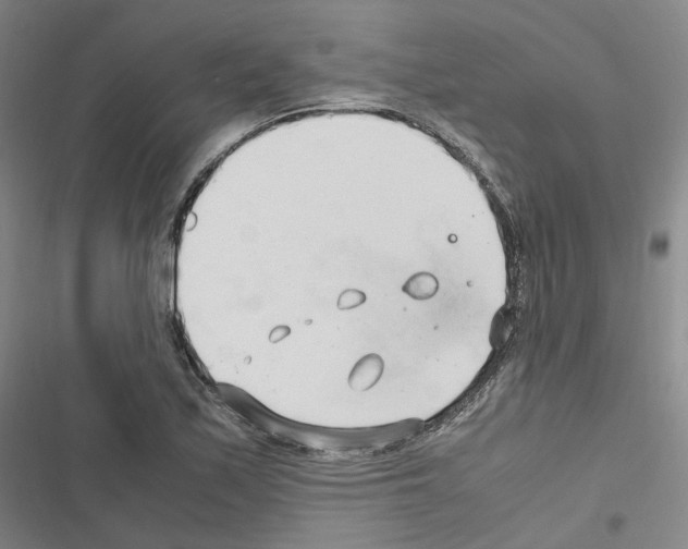 X0000116681171201001251254